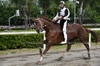 Immagine <b>REG_9248</b>